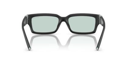 Matte Black - 0TF4226U 8056262189566