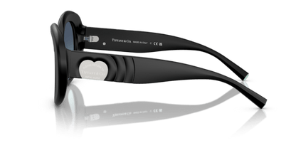 Matte Black - 0TF4228 8056262185209