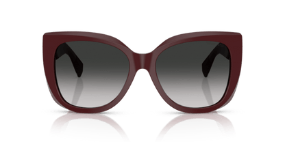 Burgundy - 0TF4229 8056262185445