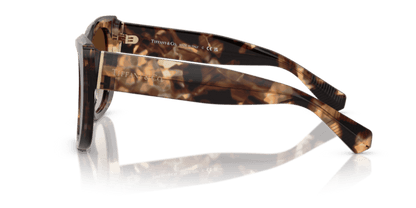 Spotted Brown Havana - 0TF4229 8056262185421