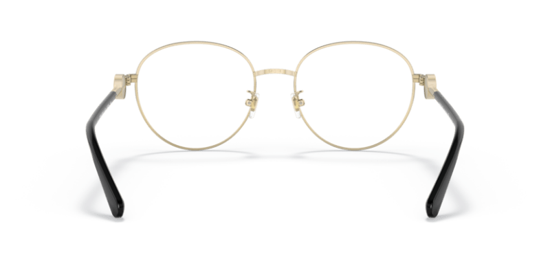 Gold/Black - 0VE1273D 8056597382380