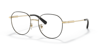 Gold/Black - 0VE1282D 8056597649933