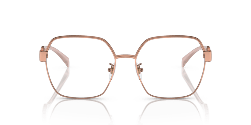 Rose Gold - 0VE1291D 8056597853071