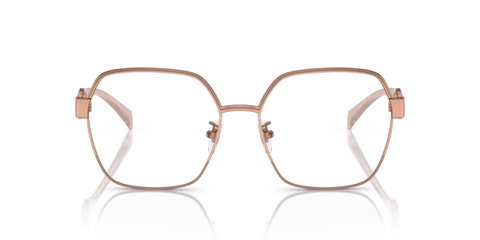 Rose Gold - 0VE1291D 8056597853071