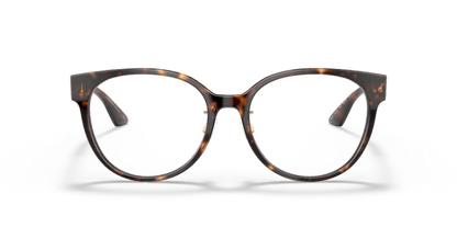 Dark Havana - 0VE3302D 8056597407878