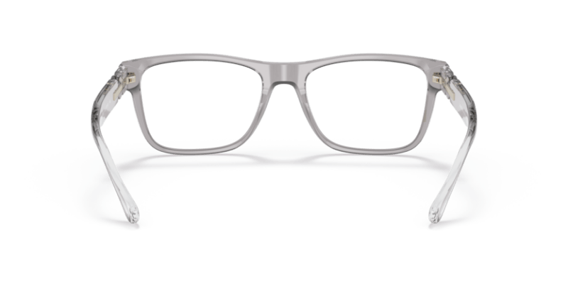 Transparent Grey - 0VE3303 8056597535779