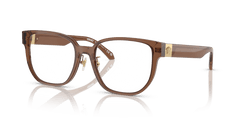 0VE3360D - Versace - Brown - (Transparent Dark Brown 5028) - 54 - 18 - 145 MM - Ardor Eyewear 8056262083000