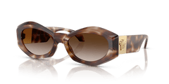 0VE4466U - Versace - (Havana) Brown Gradient - 54 - 19 - 140 MM - Ardor Eyewear 8056262014042