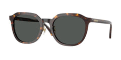 0VE4493D - Versace - (Dark Havana) Dark Grey - 55 - 21 - 140 MM - Ardor Eyewear 8056262448304