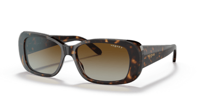 Dark Havana - 0VO2606S 8056597546287