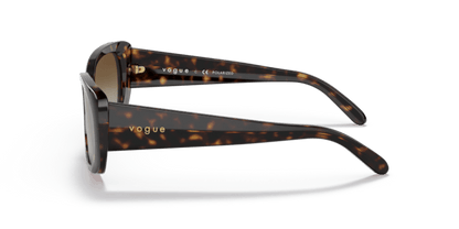 Dark Havana - 0VO2606S 8056597546287