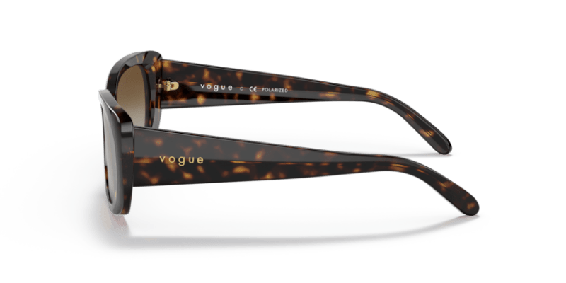 Dark Havana - 0VO2606S 8056597546287