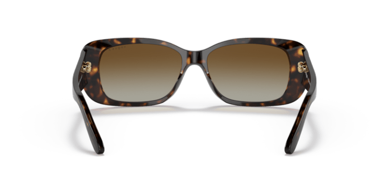 Dark Havana - 0VO2606S 8056597546287