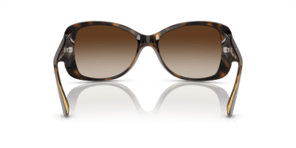 Dark Havana - 0VO2843S 8053672147674