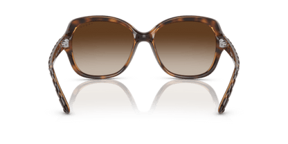 Striped Dark Havana - 0VO2871S 8053672203165