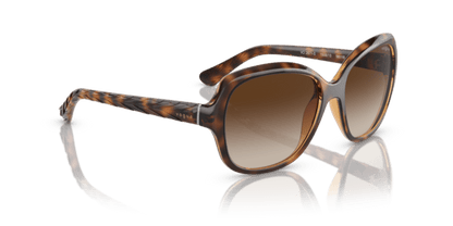 Striped Dark Havana - 0VO2871S 8053672203165