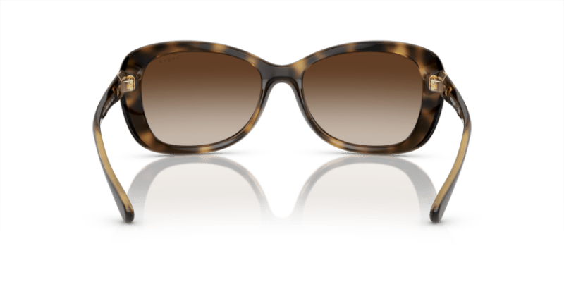 Dark Havana - 0VO2943SB 8053672355666
