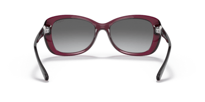 Transparent Dark Cherry - 0VO2943SB 8056597624411