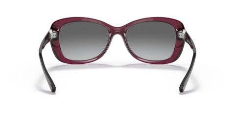 Transparent Dark Cherry - 0VO2943SB 8056597624411