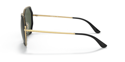 Gold/Black - 0VO4224S 8056597524100