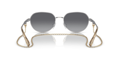 Gunmetal - 0VO4254S 8056597713740