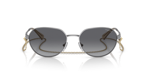 Gunmetal - 0VO4254S 8056597713740