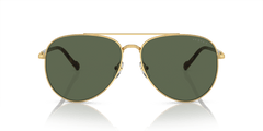 0VO4290S - Vogue - (Gold) Dark Green Polarized - 60 - 14 - 145 MM - Ardor Eyewear 8056597933261