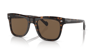 Dark Havana - 0VO5465S 8056597705806