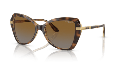 (Striped Dark Havana) Grey Gradient Brown Polarized -  8056597815093
