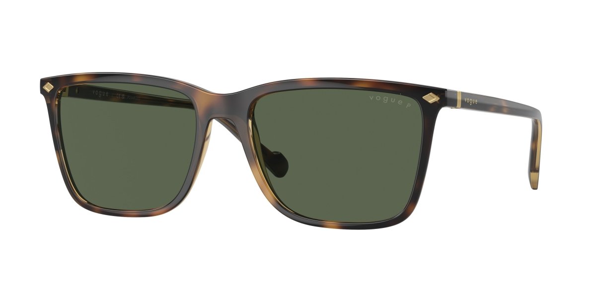 0VO5493S - Vogue - (Total Dark Havana) Dark Green Polarized - 56 - 18 - 145 MM - Ardor Eyewear 8056597817141