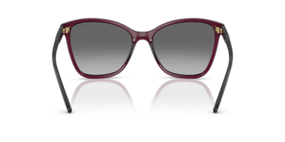 Transparent Cherry - 0VO5520S 8056262281222