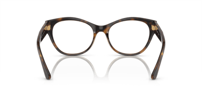 Dark Havana - 0VO5527 8056597927574