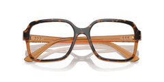 0VO5555 - Vogue - Tortoise - (Havana/Transparent Brown Glitter 3134) - 52 - 17 - 140 MM - Ardor Eyewear 8056262010754