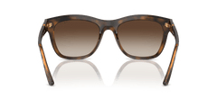 0VO5557S - Vogue - (Top Dark Havana/Light Brown) Brown Gradient - 54 - 19 - 140 MM - Ardor Eyewear 8056262012857