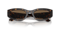 0VO5585S - Vogue - (Dark Havana) Dark Brown - 54 - 22 - 140 MM - Ardor Eyewear 8056262148211