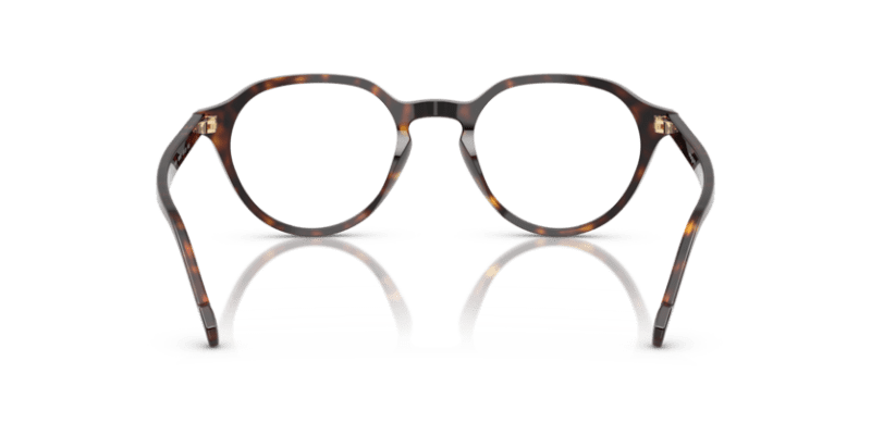 Dark Havana - 0VO5598 8056262243718