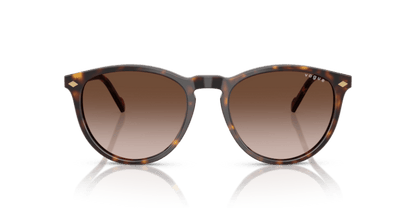 Dark Havana - 0VO5599S 8056262250273