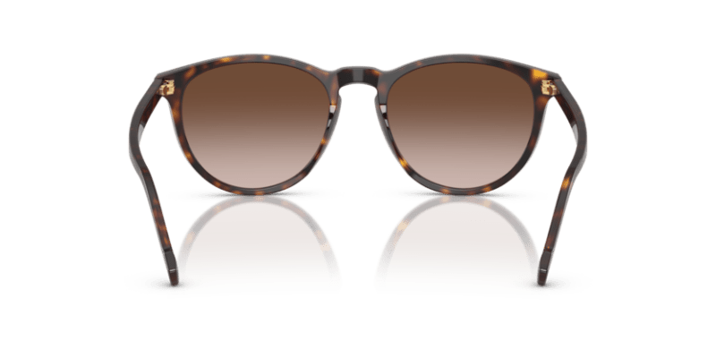 Dark Havana - 0VO5599S 8056262250273