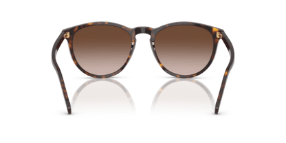 Dark Havana - 0VO5599S 8056262250273