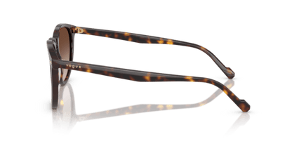 Dark Havana - 0VO5599S 8056262250273