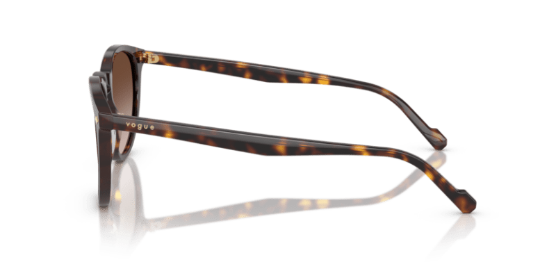 Dark Havana - 0VO5599S 8056262250273