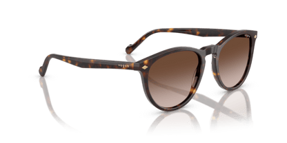 Dark Havana - 0VO5599S 8056262250273