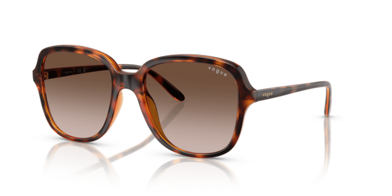 Dark Havana - 0VO5601S 8056262231883