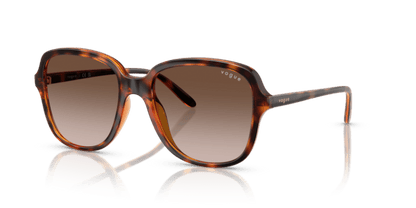 Dark Havana - 0VO5601S 8056262231883