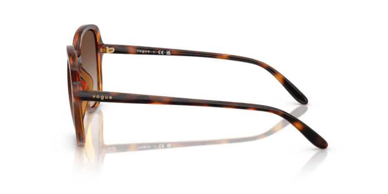 Dark Havana - 0VO5601S 8056262231883
