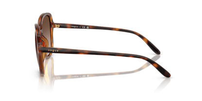 Dark Havana - 0VO5601S 8056262231883