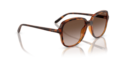 Dark Havana - 0VO5601S 8056262231883