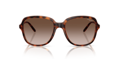 Dark Havana - 0VO5601S 8056262231883