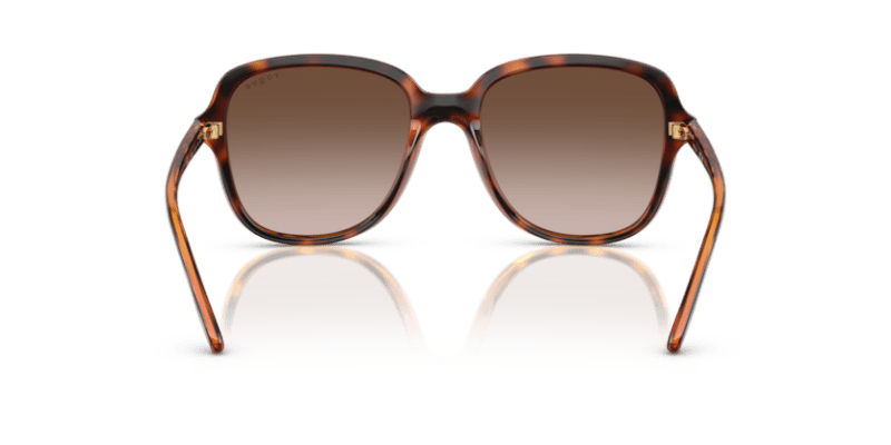 Dark Havana - 0VO5601S 8056262231883