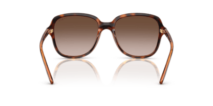 Dark Havana - 0VO5601S 8056262231883